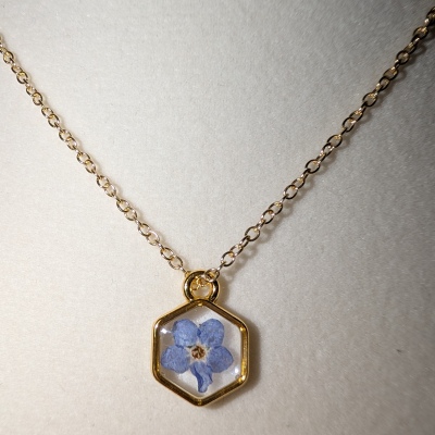 Small Gold Forget-Me-Not 